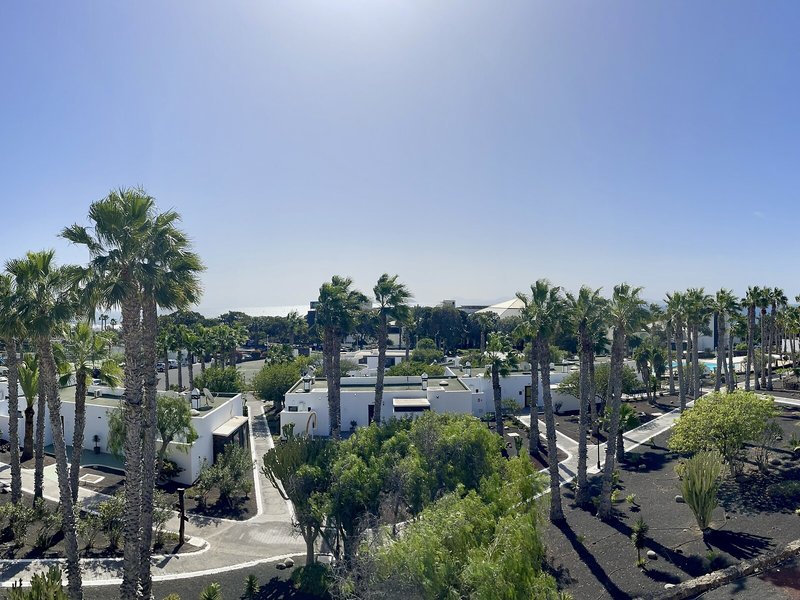 Palmeras Garden